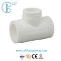 PPR Male Socket PPR Fitting Hot Sale Socket Pitting